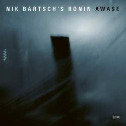 Cover: Baertsch_Nik_Awase