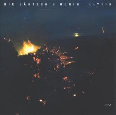 Cover: Baertsch_Nik_Llyria