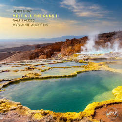 Cover: Gray_Devin_Melt_All_The_Guns_II