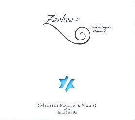 Cover: Mediski_Martin_Wood_Zaebos_Vol11
