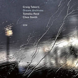 Cover: Taborn_Craig_Dream_Archives